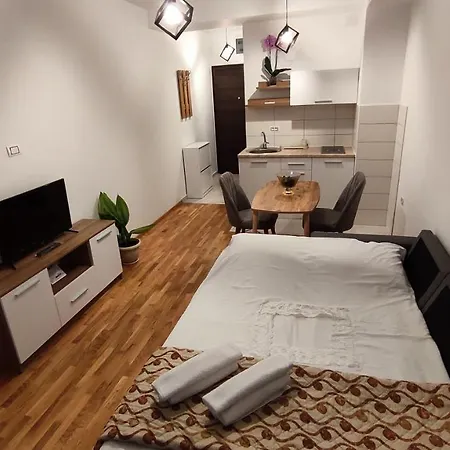 Apartment Risteski Lux Ohrid Exterior photo