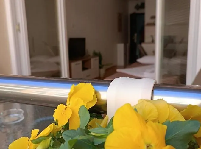Apartment Risteski Lux