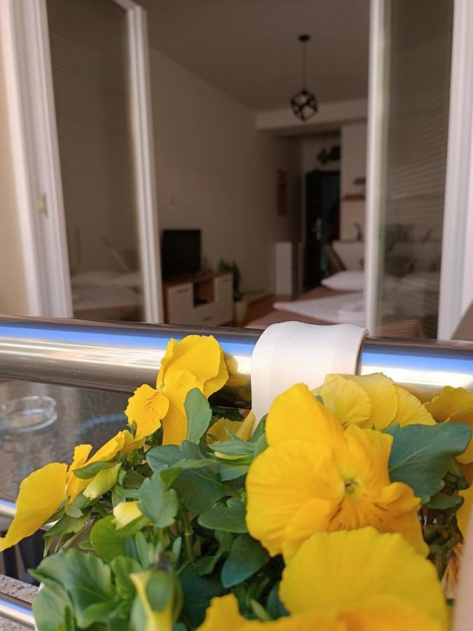 Risteski Lux Apartamento *